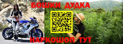 PSILOCYBIN Сланцы