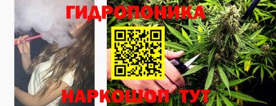 PSILOCYBIN Сланцы