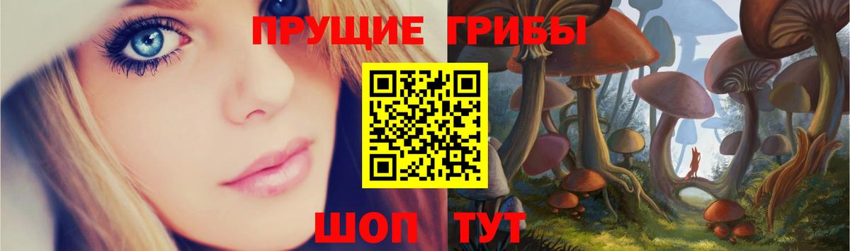 Саранск  что такое наркотик  Псилоцибиновые грибы ЛСД  Вход с VPN  Галлюциногенные грибы GOLDEN TEACHER 